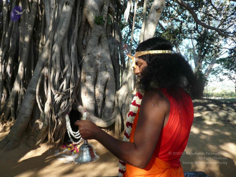 File:20071227 Photo 1356 1LdWvv2Rqdai5 YoD OhMJp9PiEqKUlgZ.JPG