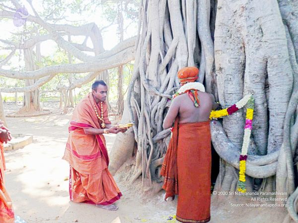 20071230P1040730 CMP WM0010000.jpg