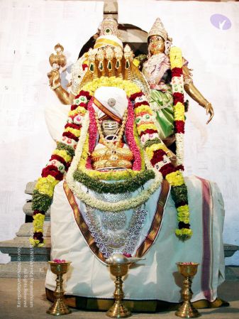 20071230 DSC00755 CMP WM01.jpg