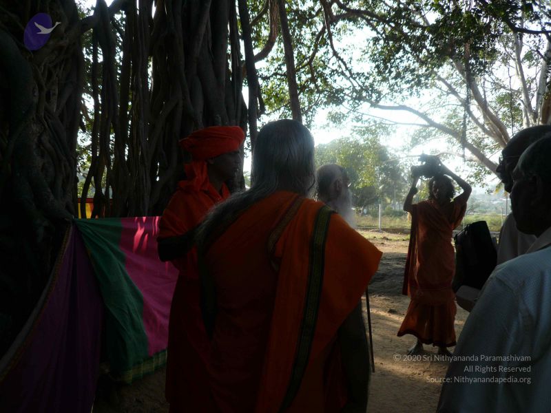 File:20071231 Photo 1082 18FNoAEON9hyeSWq7fuGYCcTYZjW51iGc.JPG