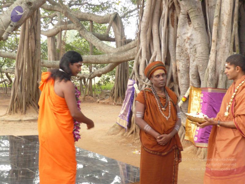 File:20071231 Photo 1392 1 -QXBnBvKaLgBHBbe7vi9CguOSjXvsDi.JPG