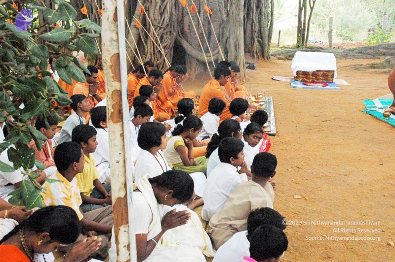 File:2007 DSC 1322 CMP WM 0011.jpg