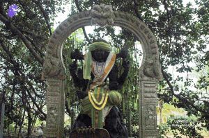 2007 DSC 1331 CMP WM 0011.jpg