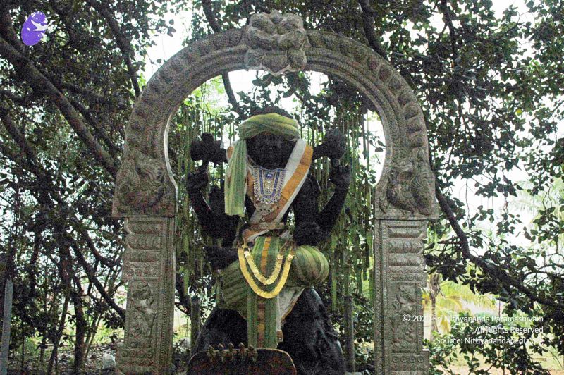 File:2007 DSC 1331 CMP WM 0011.jpg