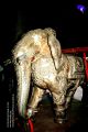 Thumbnail for version as of 08:36, 26 March 2021