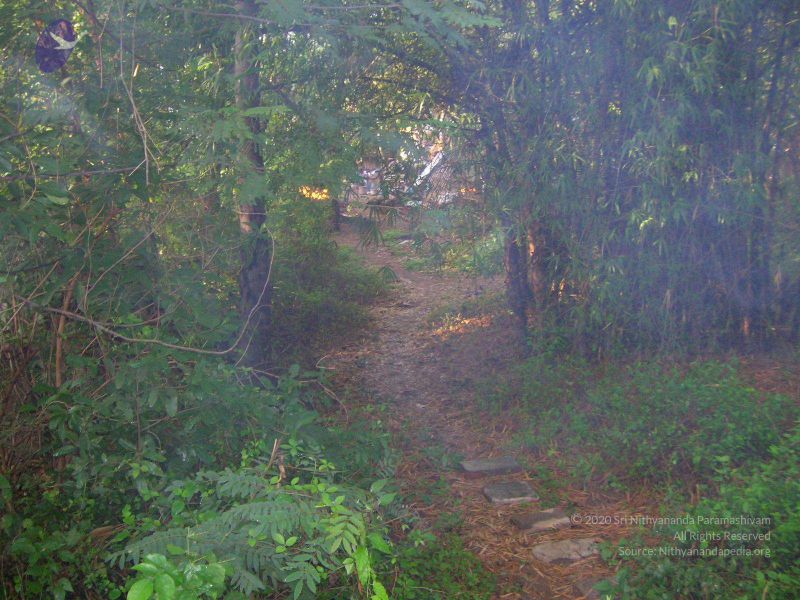 File:2007 SacredArtsUniversity Photo 26 1tYvtyCm6TWOmZ5M1btPO35x--gLTYmH5.jpg
