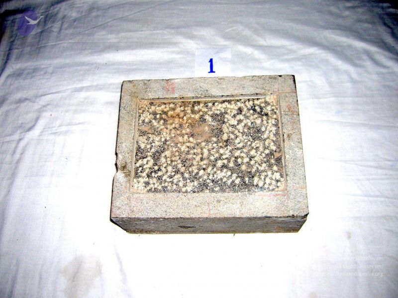 File:2007 SacredArtsUniversity Photo 6 1YbyjI1R7F4hgBWL 0rDX3ZOQzvflJkkq.jpg
