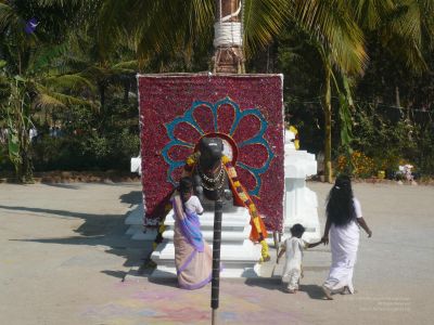 20080101 more 080384.jpg