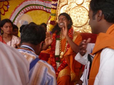 20080101 more 080396.jpg