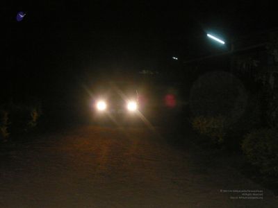 20080101 more 080446.jpg