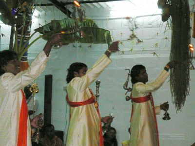 20080101 more 080511.jpg