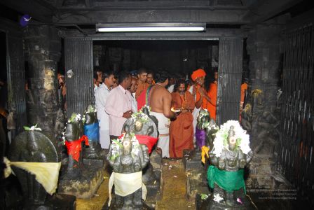 20080102 Tiru 0106.jpg