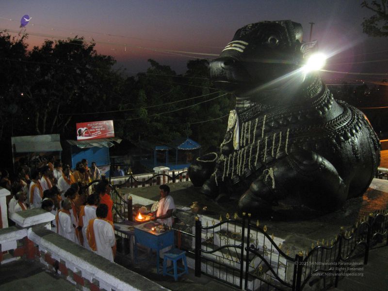 File:20080109 2954.jpg