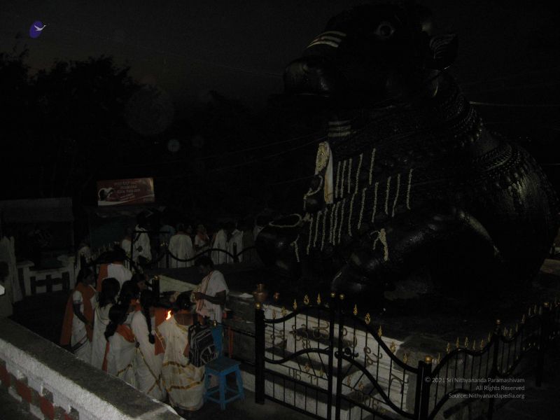 File:20080109 2955.jpg