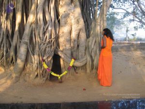 20080117 purnabhishekam 3888 CMP WM.jpg