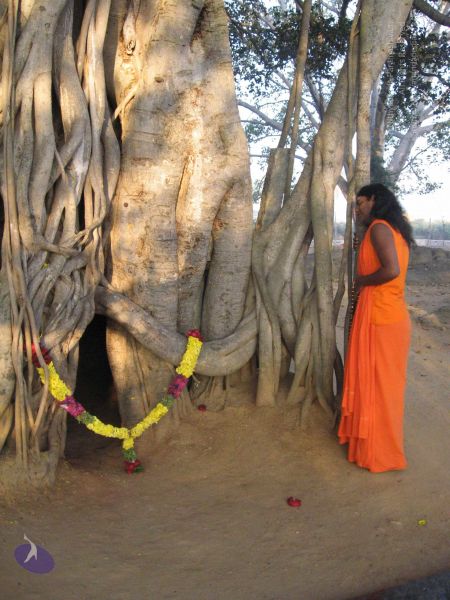 File:20080117 purnabhishekam 3889 CMP WM.jpg