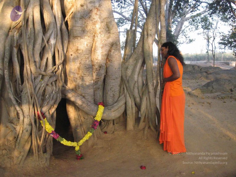 File:20080117 purnabhishekam 3890 CMP WM.jpg