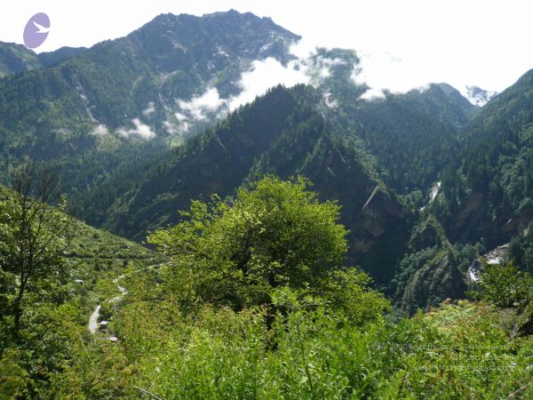 20080122 Photo 1003 1NVPMDJy7yz0hhxvP3X1KTkdoDIeiU1XQ.JPG