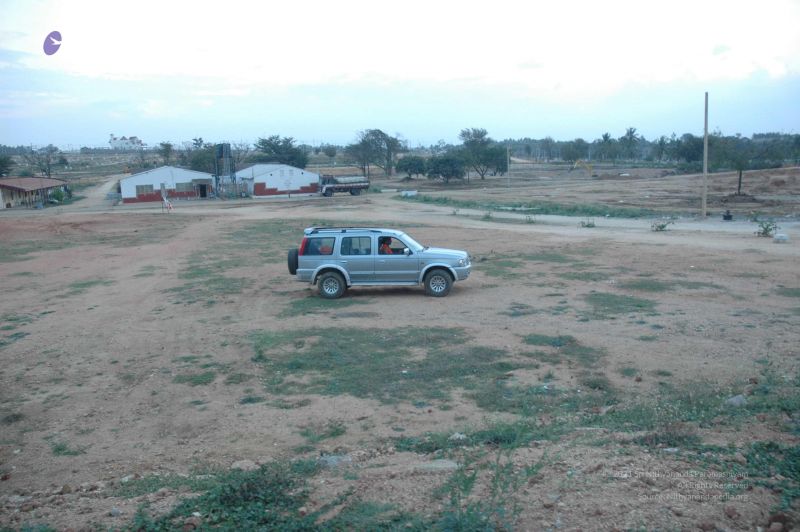 File:20080212 1984.jpg