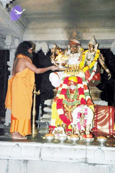 File:20080216DSC 0041 CMP WM001.jpg