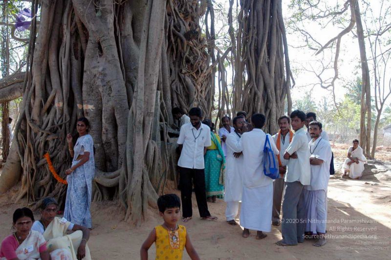 File:20080216DSC 9051 CMP WM001.jpg