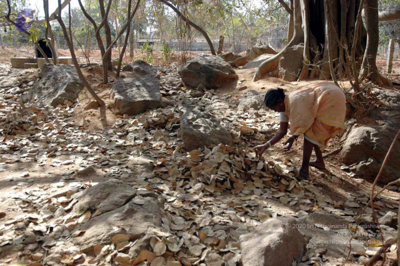 File:20080216DSC 9055 CMP WM001.jpg