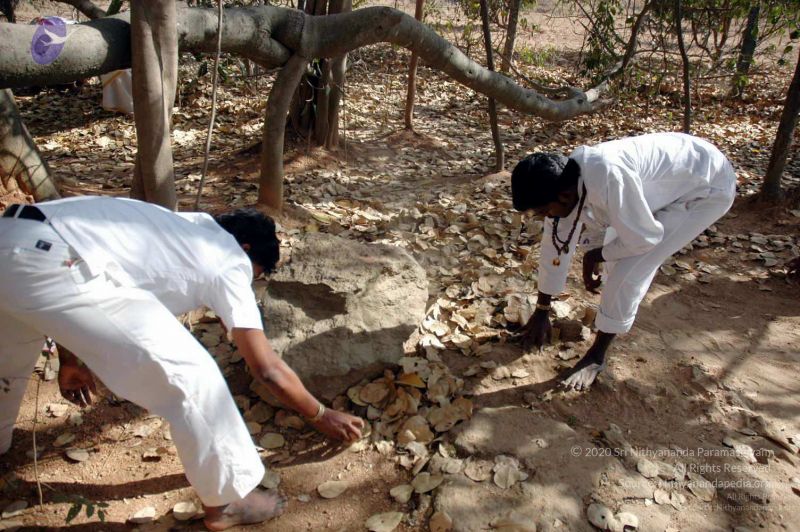 File:20080216DSC 9056 CMP WM001.jpg