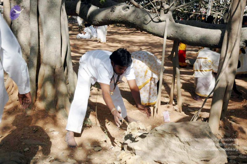 File:20080216DSC 9059 CMP WM001.jpg