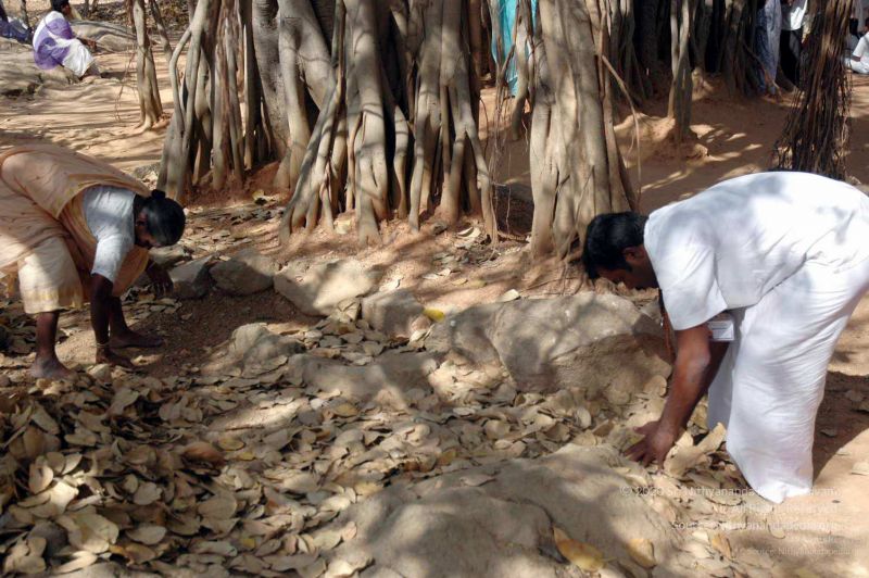 File:20080216DSC 9060 CMP WM001.jpg