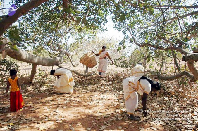 20080216DSC 9061 CMP WM001.jpg