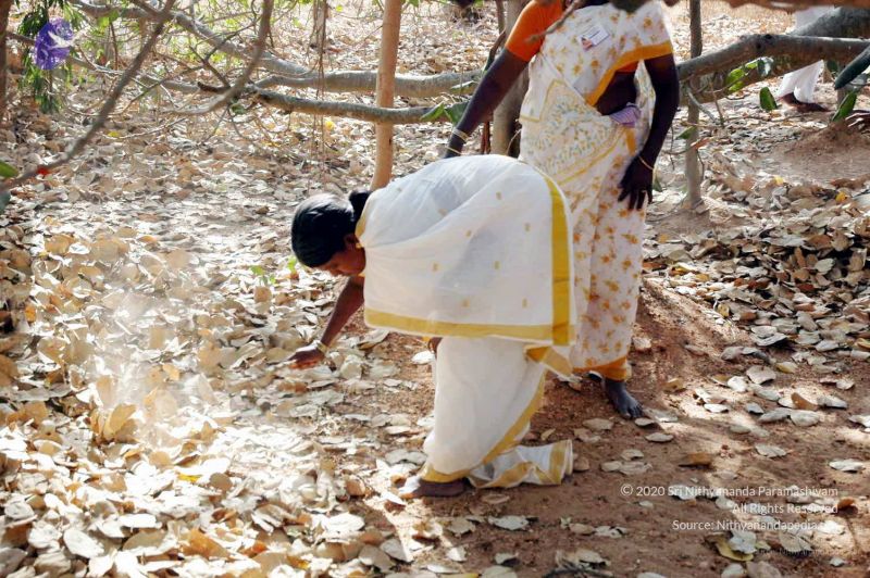 File:20080216DSC 9063 CMP WM001.jpg