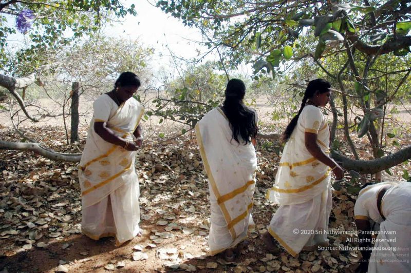 File:20080216DSC 9064 CMP WM001.jpg