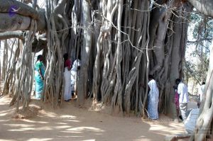 20080216DSC 9066 CMP WM001.jpg