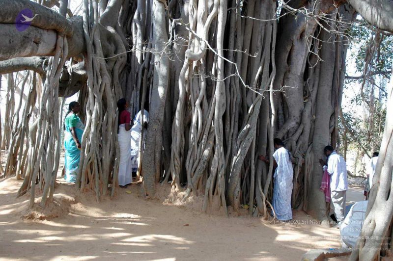 File:20080216DSC 9066 CMP WM001.jpg