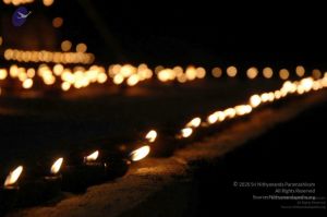 20080216DSC 9349 CMP WM001.jpg