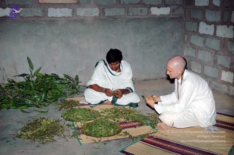 File:20080216DSC 9396 CMP WM001.jpg