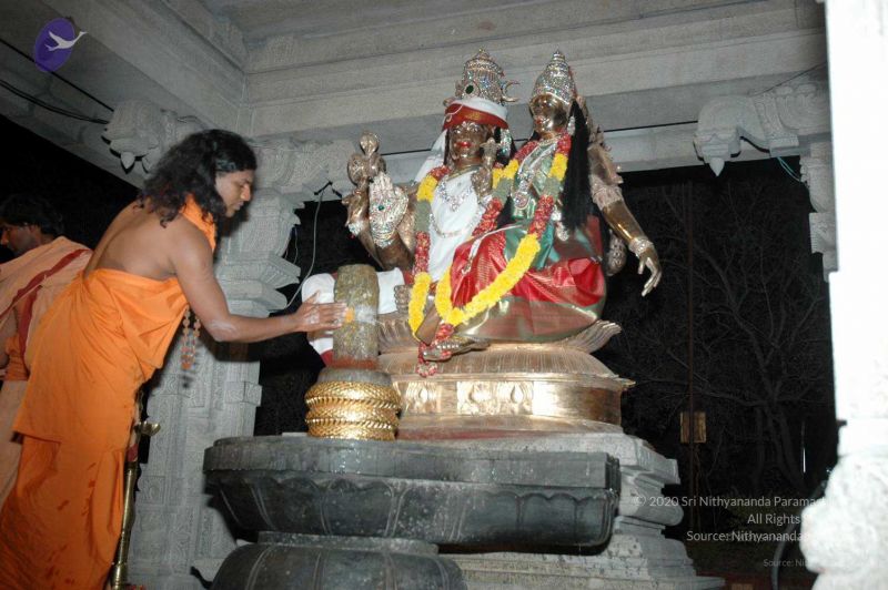 File:20080216DSC 9435 CMP WM001.jpg