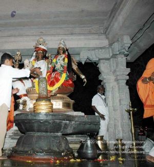 20080216DSC 9732 CMP WM001.jpg