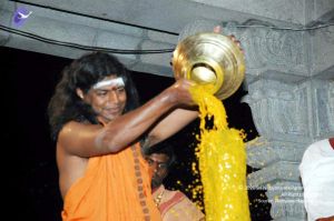 20080216DSC 9887 CMP WM001.jpg