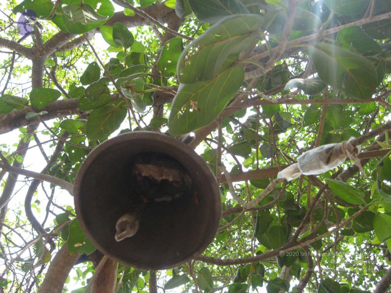 File:20080223 Photo 1079 1lCT1EmiP0MJhlZAwU1KKeOtHk4C0Ztin.JPG