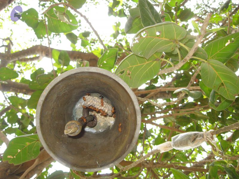 File:20080223 Photo 1081 1WTT9x1KDeEfLNHthxcYd7OPfL0oVyZFV.JPG