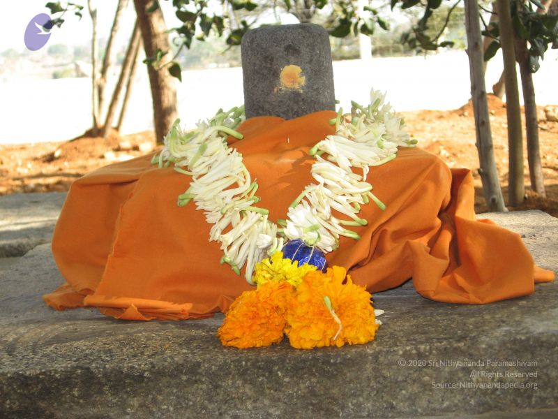 File:20080223 Photo 1130 1X dPzGlvyViBqddXsR77HUql3tI wSYE.JPG