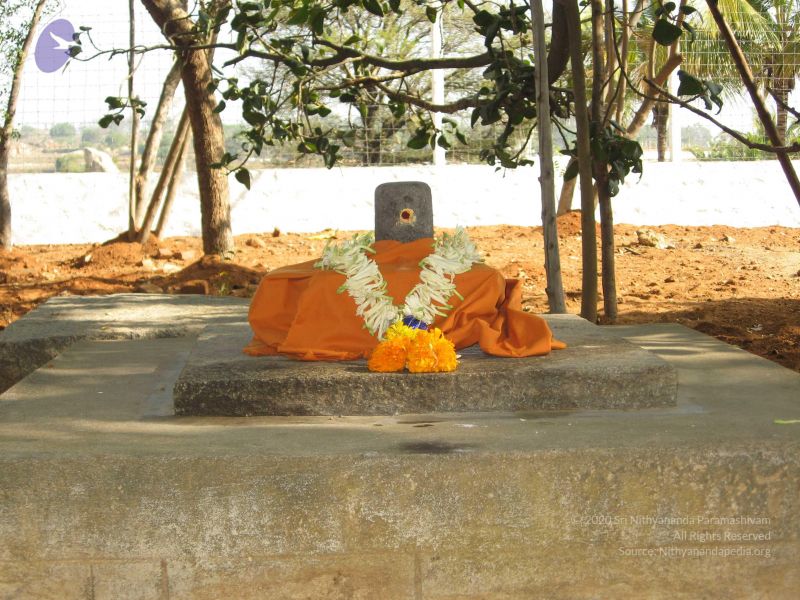 File:20080223 Photo 1134 1KDt5qTmsazWyexk hTgL7gV6wMc42iyq.JPG
