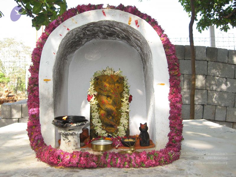 File:20080223 Photo 1140 1jN4ppUdYfCKFoAlT6gbTLYM8uEypEDXS.JPG