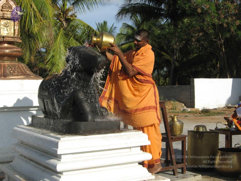 File:20080305 Photo 1000 1zJVs7Kf8C55eMH5F7b2la16ajrSu8E17.JPG