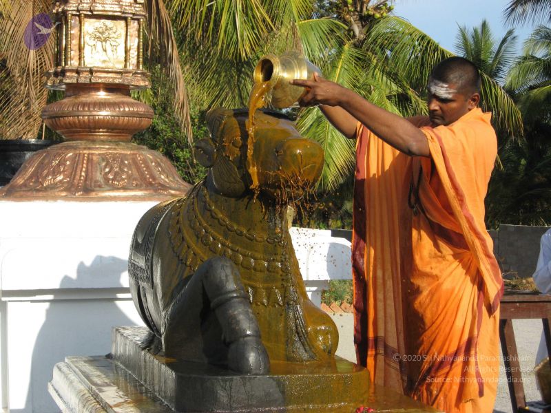 File:20080305 Photo 1015 1xwVxw8nN6cHFwDIYzbAEzB8e7WTeNhHh.JPG