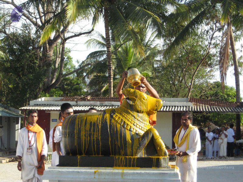 File:20080305 Photo 1020 1sSQC4IaE5Enio0RGH6XZpOg 2pcbblr9.JPG