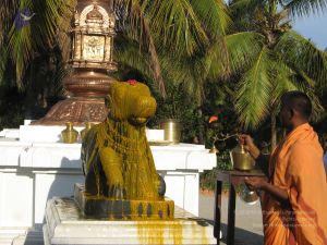 20080305 Photo 1023 1uCNdsS40xLOxUqRiOEWle-LI8ScLkR4R.JPG