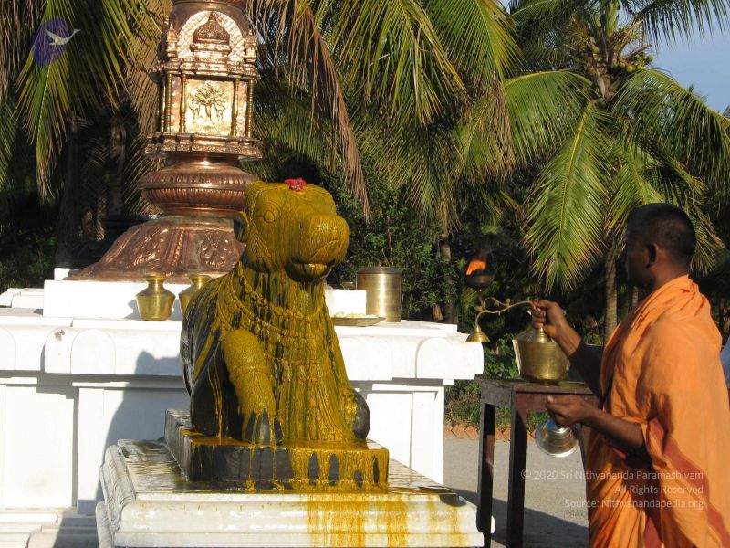 File:20080305 Photo 1023 1uCNdsS40xLOxUqRiOEWle-LI8ScLkR4R.JPG