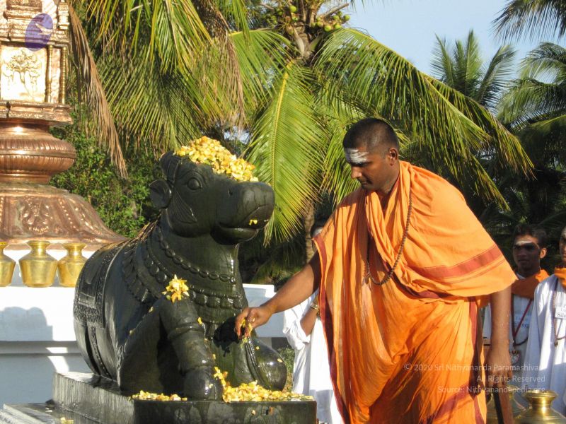 File:20080305 Photo 1031 1C5rppJkkFDfILjqO95QpFidHcDVPLEih.JPG